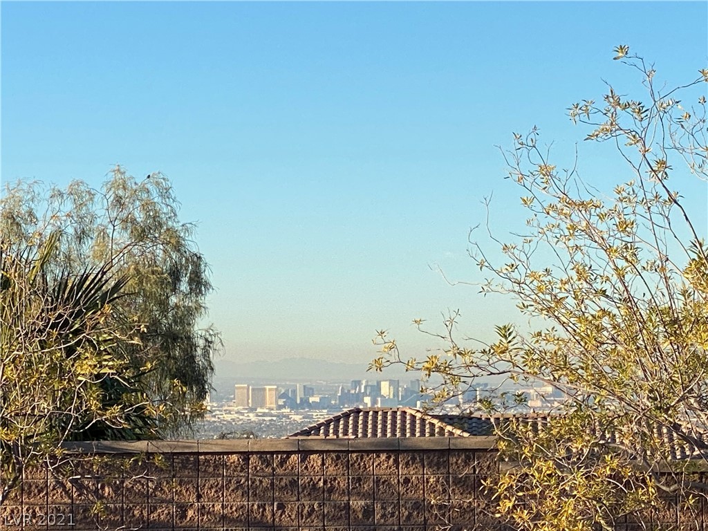 2358 Sandstone Cliffs Drive Henderson, NV 89044 - Photo 50 of 50