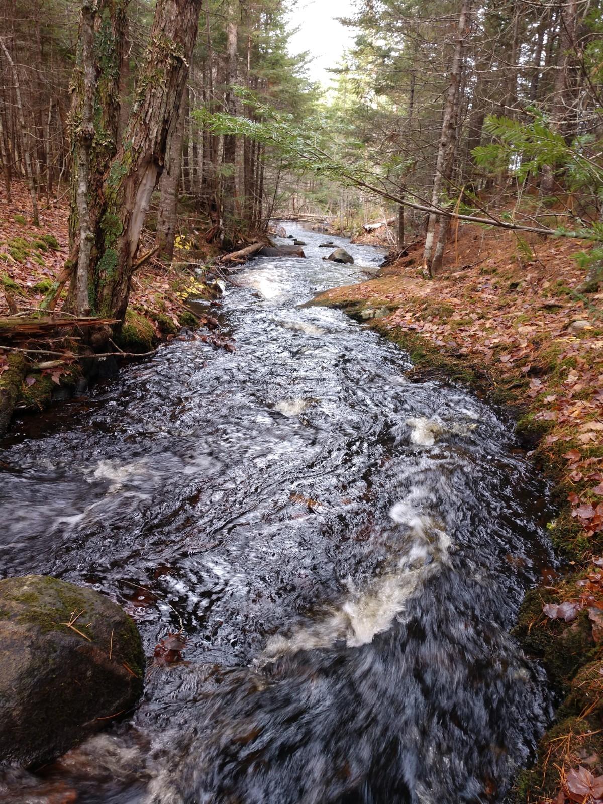 Off-645 Off-645 Howard Lake Road Robbinston, ME 04671 - Photo 5 of 20 IMG_20191025_101046614