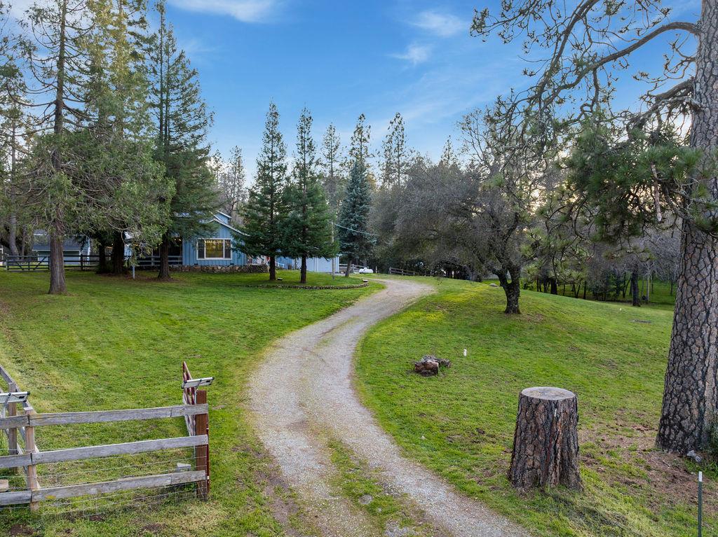 7041 Mt Aukum Road Somerset, CA 95684 - Photo 4 of 73