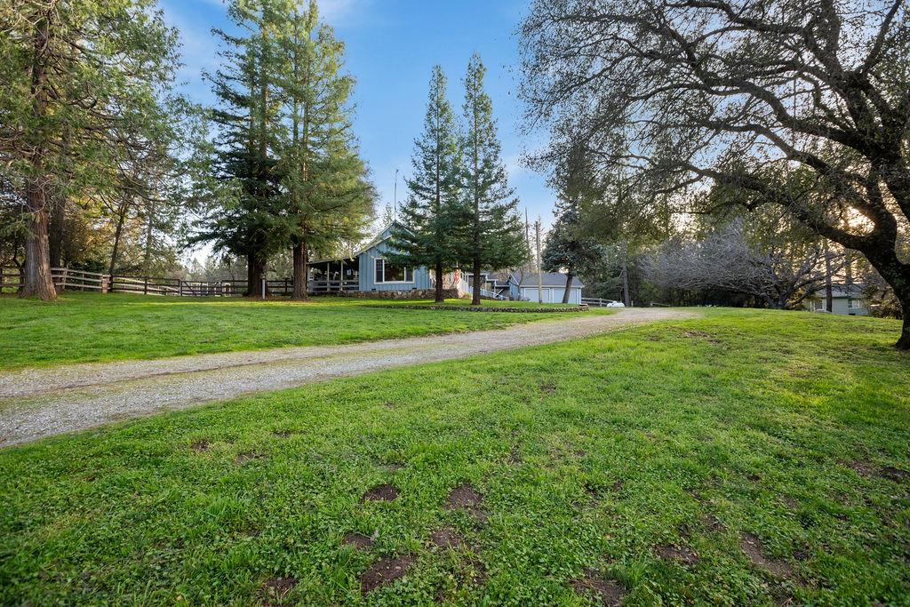 7041 Mt Aukum Road Somerset, CA 95684 - Photo 64 of 72