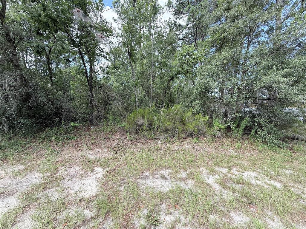 Tbd Southwest Tbd Sw 65th Avenue Road Ocala, FL 34473 - Photo 2 of 4