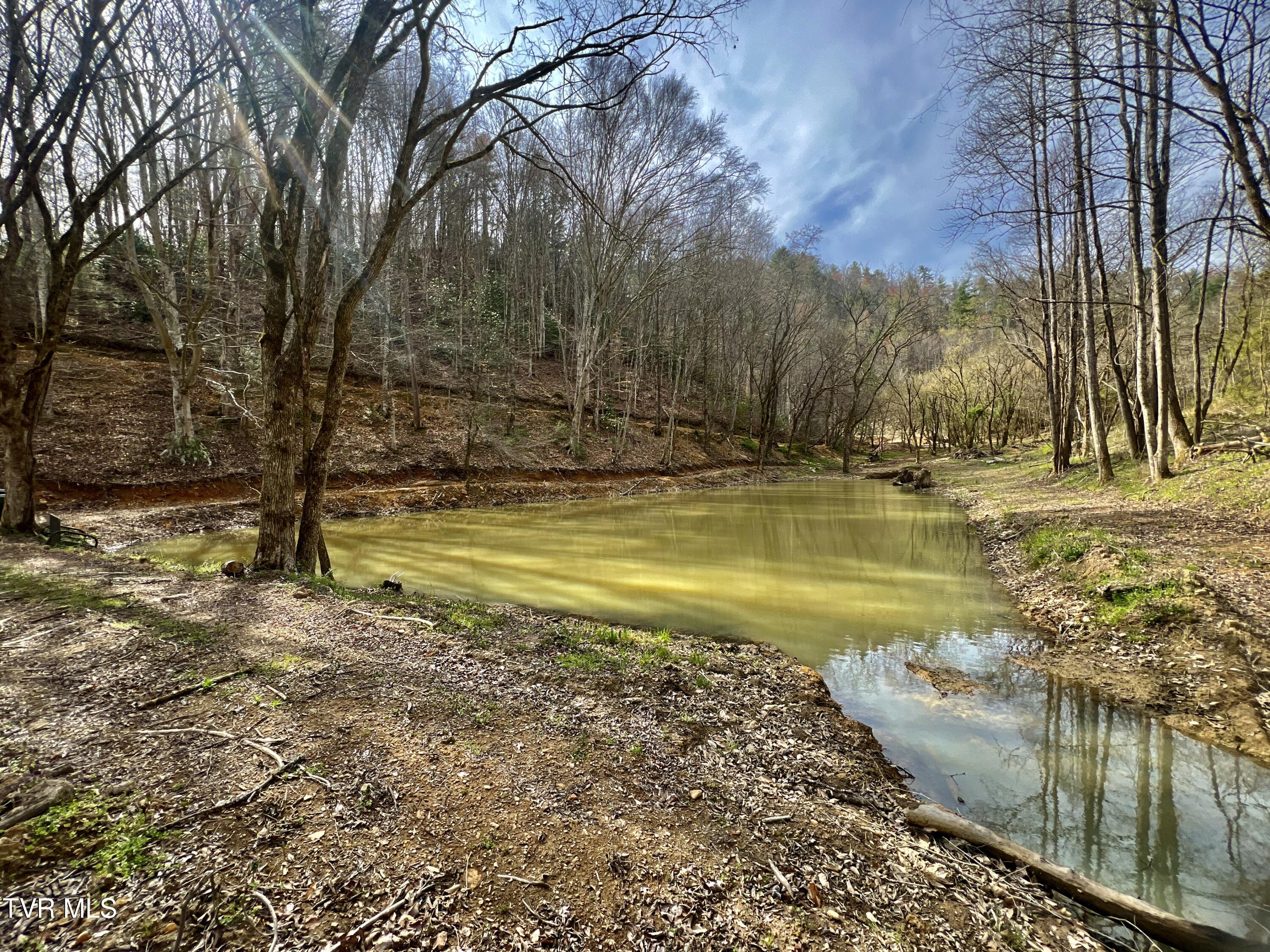 538 Punkton Road Del Rio, TN 37727 - Photo 55 of 92 _Pic68 (15)