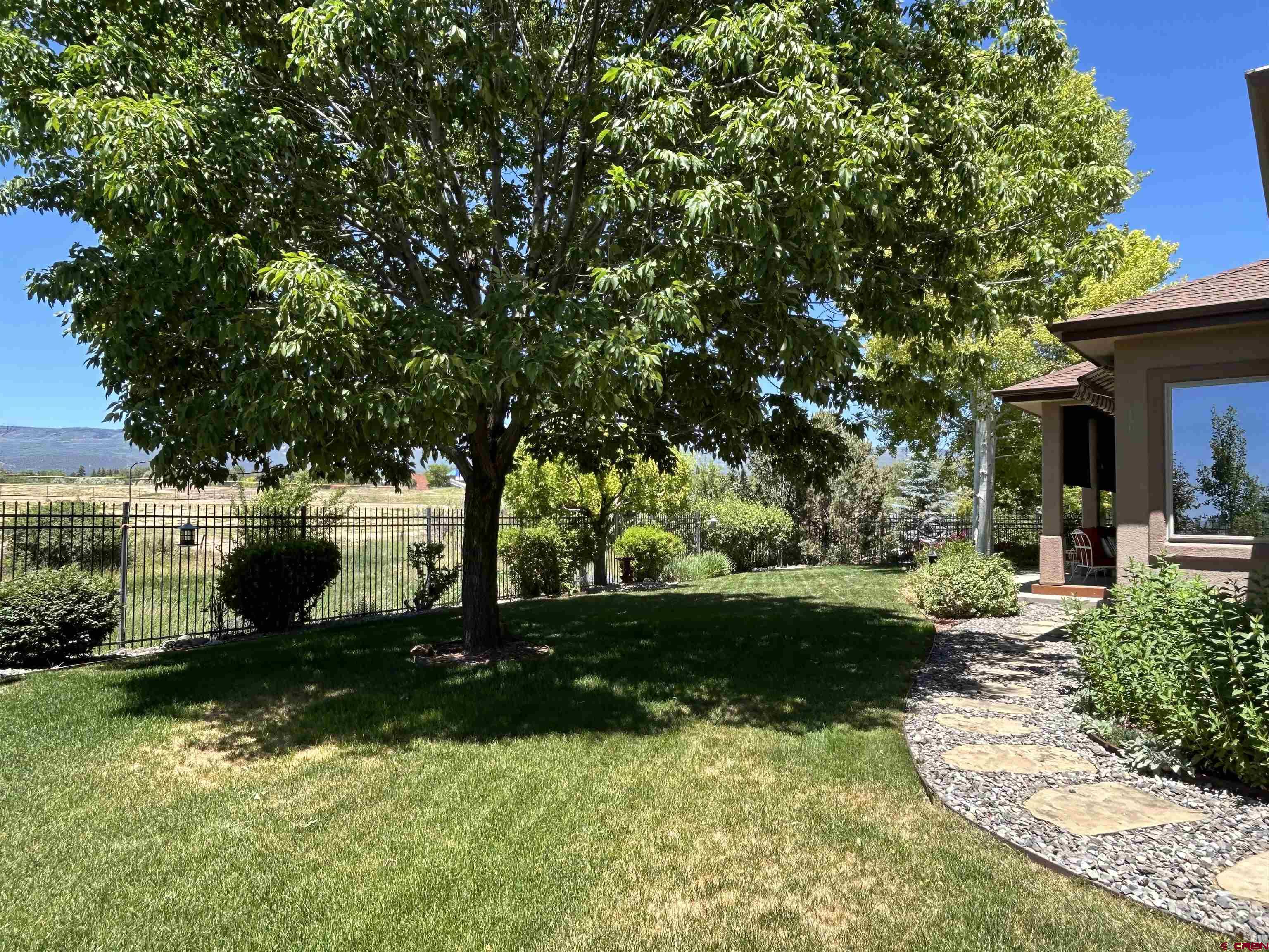 850 Southeast Pinyon Street Cedaredge, CO 81413 - Photo 35 of 45 a view of a garden with a tree