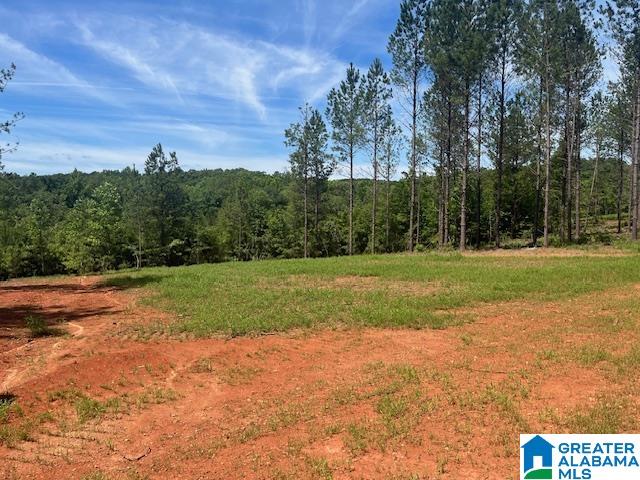 Pate Road Lineville, AL 36266 - Photo 5 of 5