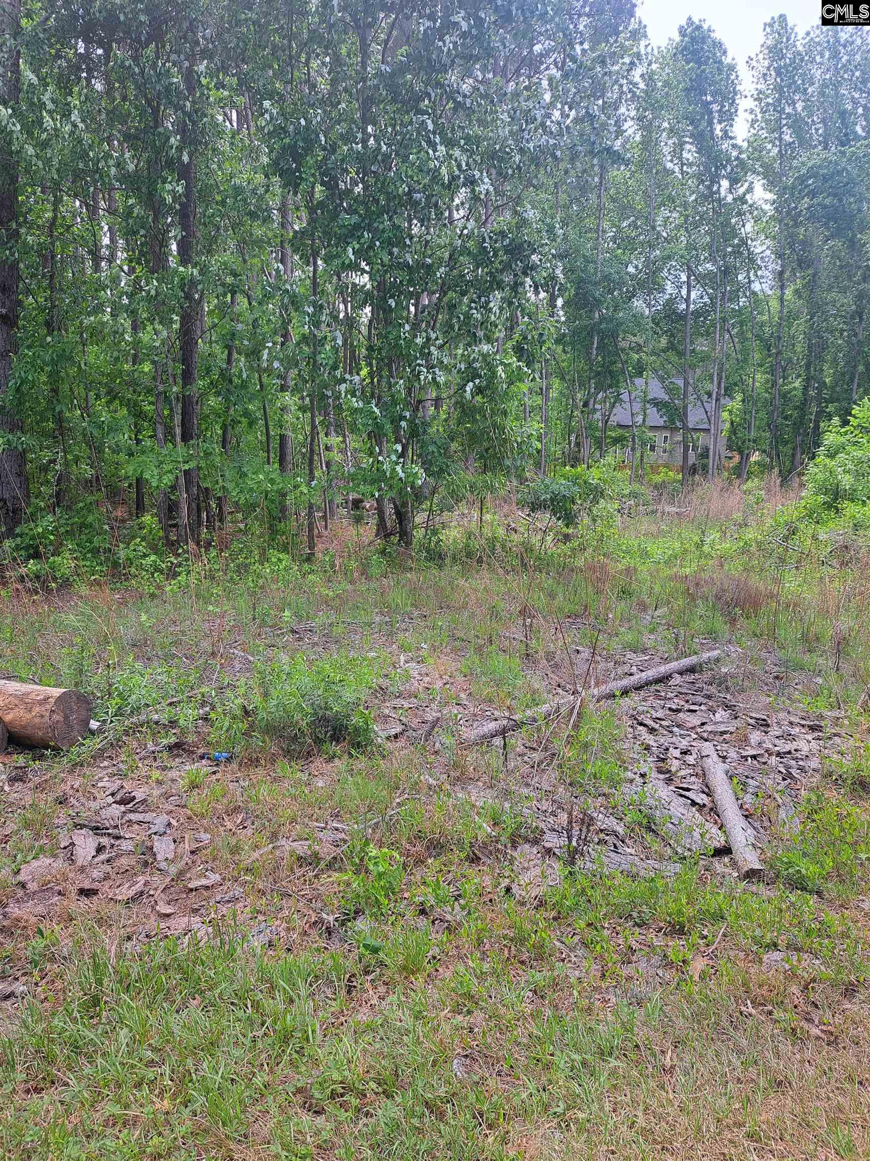 460 Grover Wilson Road Blythewood, SC 29016 - Photo 18 of 19