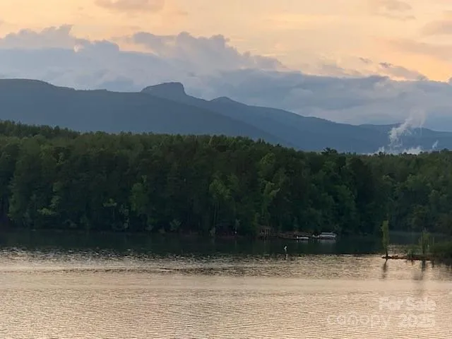 $3,950,000 | 5140 Beech Bluff Drive, Morganton, NC 28655