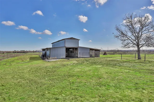 a view of a big yard with a large tree
