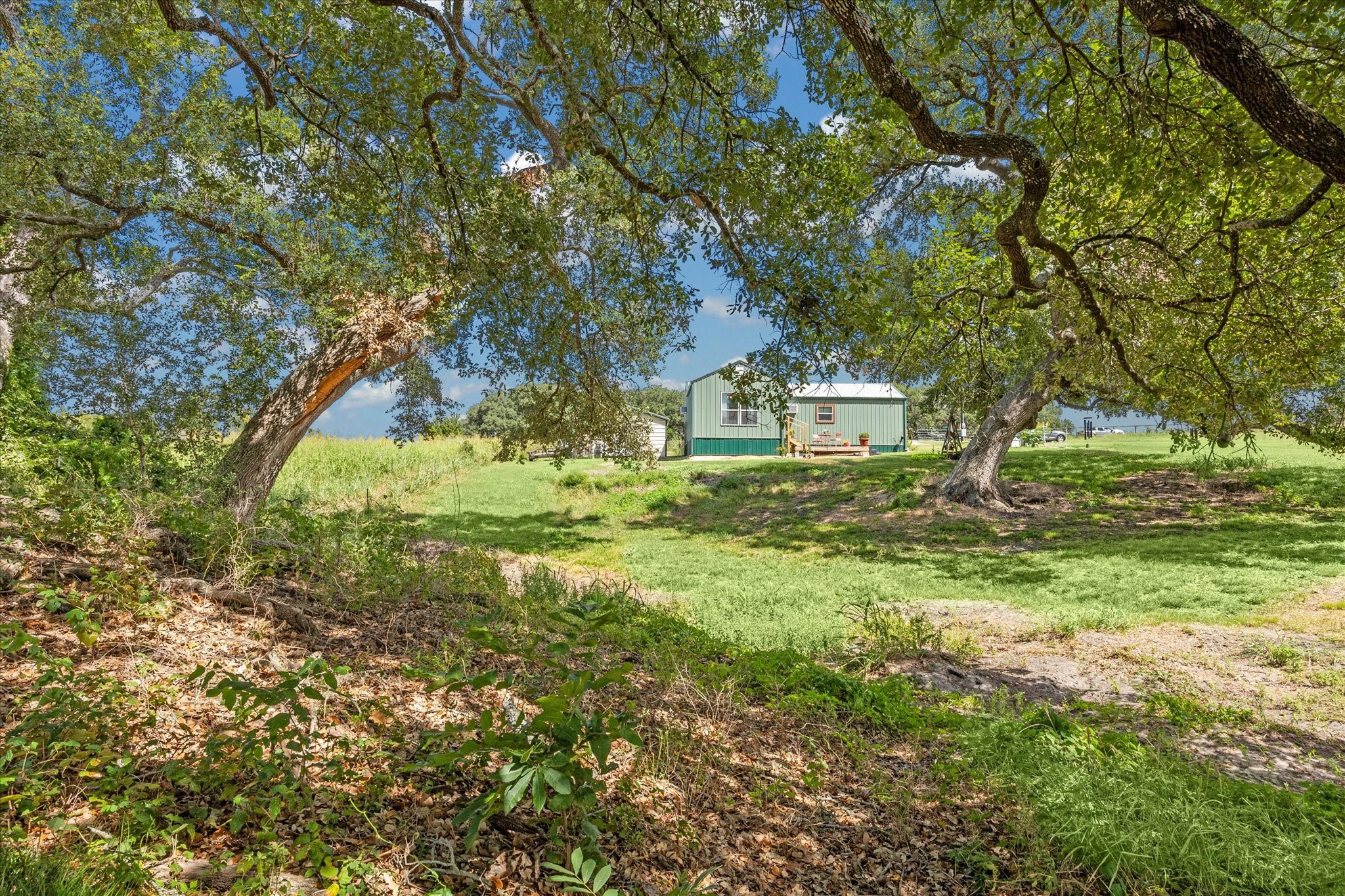 9015 Highway 36 Brenham, TX 77833 - Photo 1 of 19 a view of backyard with green space