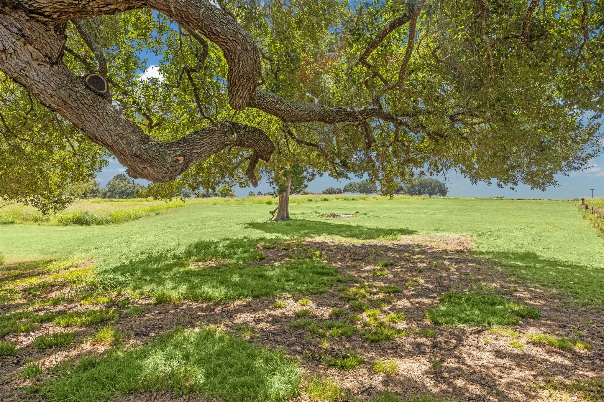9015 Highway 36 Brenham, TX 77833 - Photo 19 of 19 a view of a field with an trees