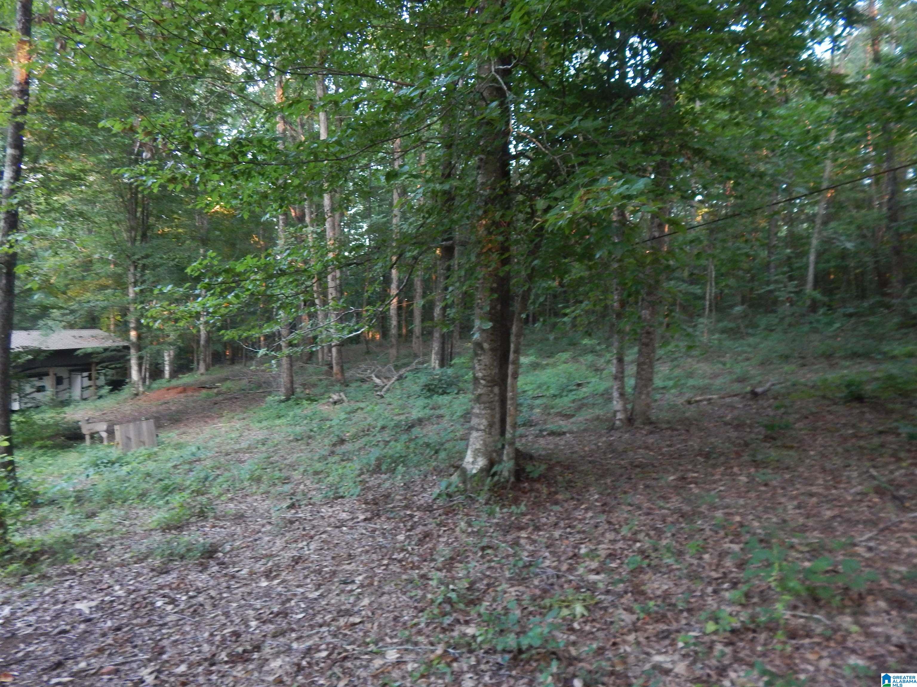 385 Raywood Drive Woodstock, AL 35188 - Photo 27 of 27
