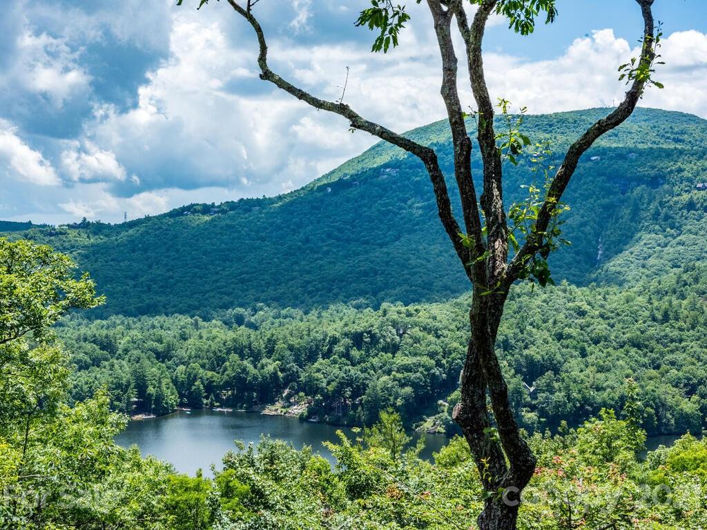478 Panther Ridge Road, Unit 16 Lake Toxaway, NC 28747 - Photo 4 of 48 Gallery Image 4
