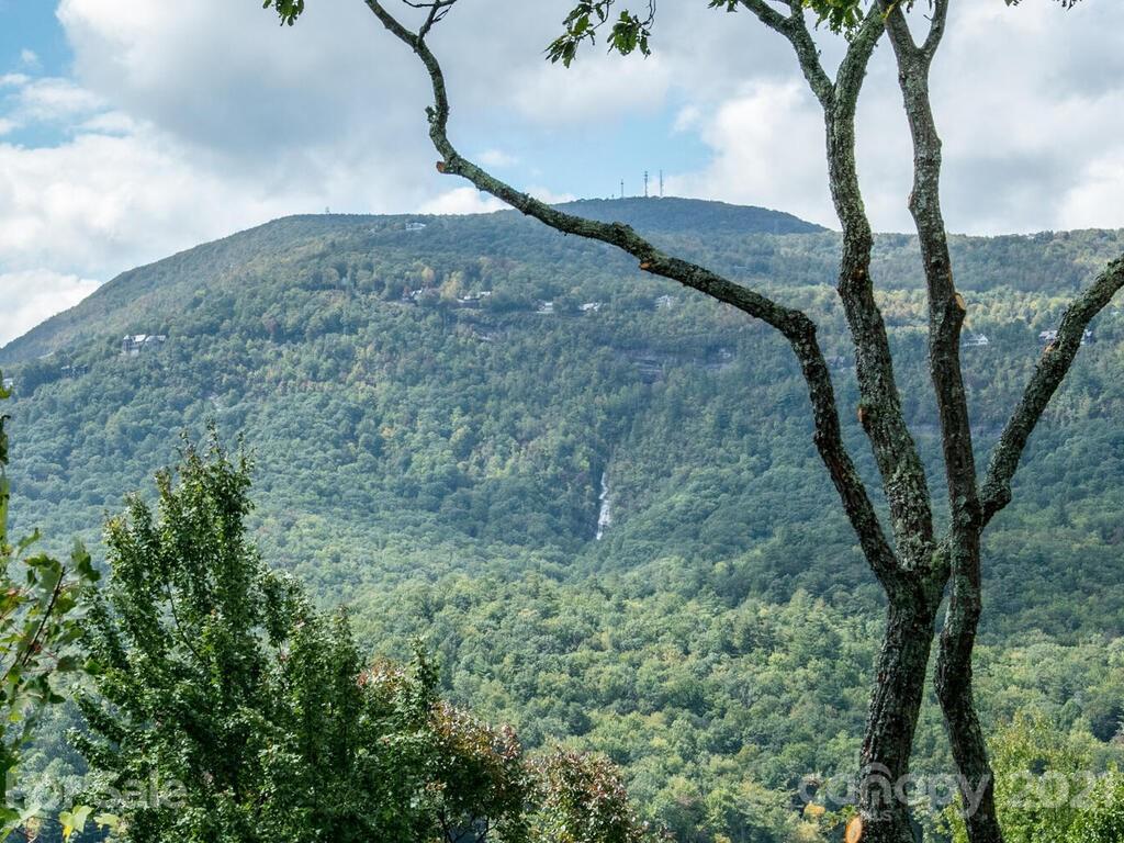 478 Panther Ridge Road, Unit 16 Lake Toxaway, NC 28747 - Photo 31 of 48 Gallery Image 31