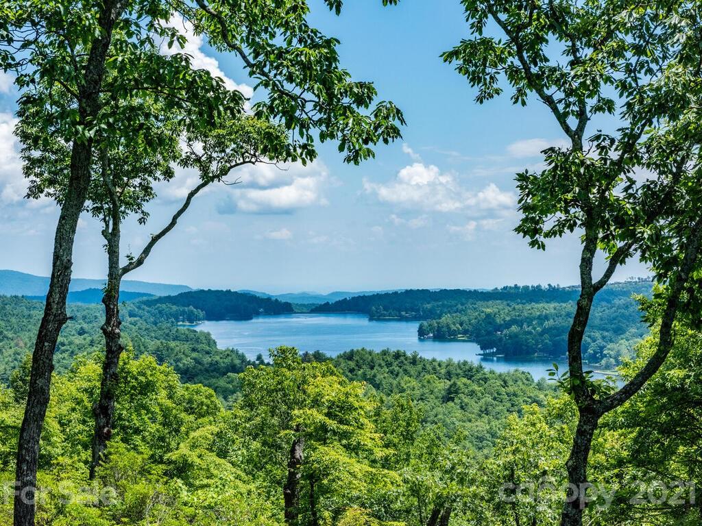 478 Panther Ridge Road, Unit 16 Lake Toxaway, NC 28747 - Photo 5 of 48 Gallery Image 5