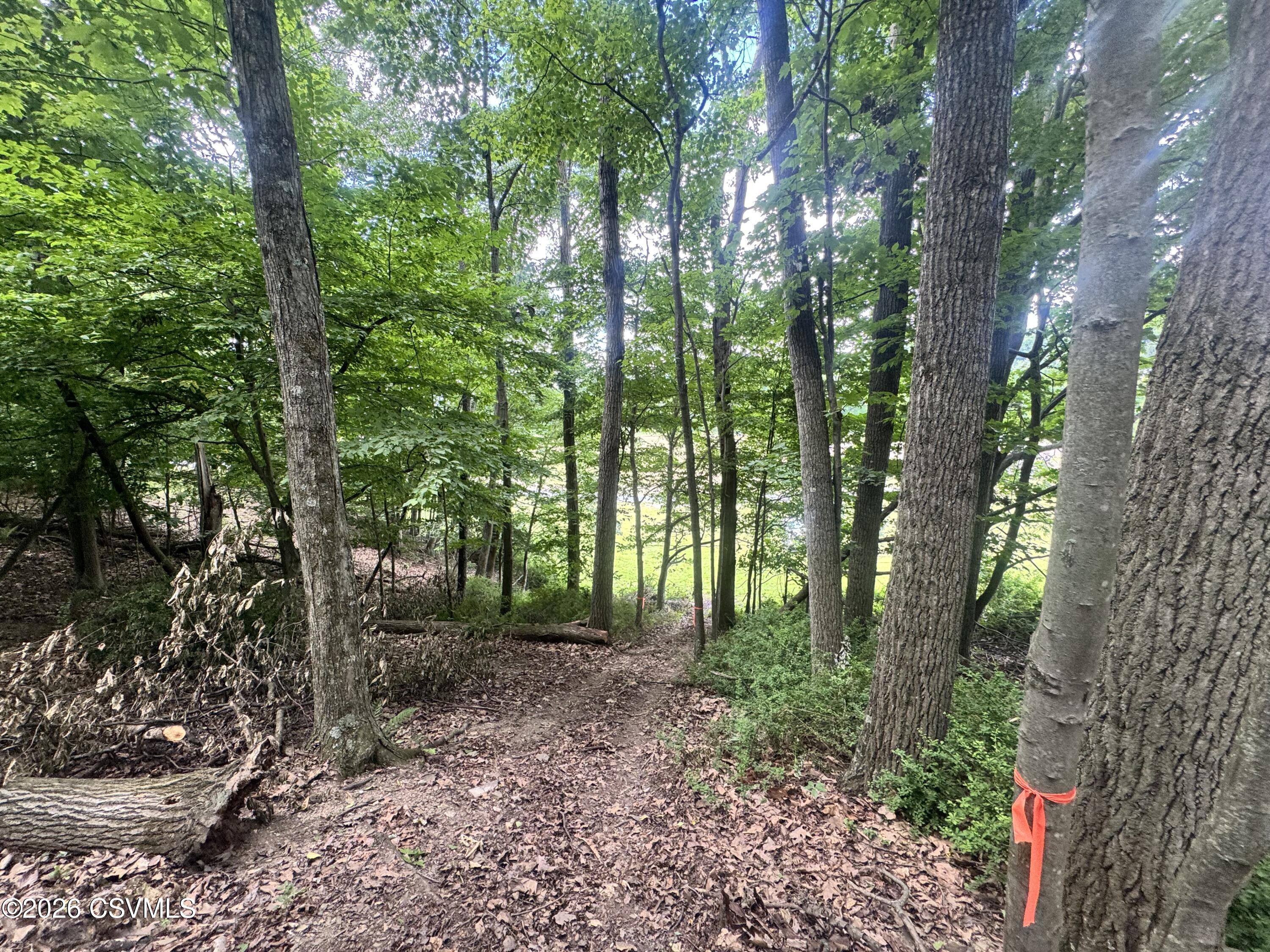 Lot #6 Old Reading Road Sunbury, PA 17801 - Photo 3 of 9