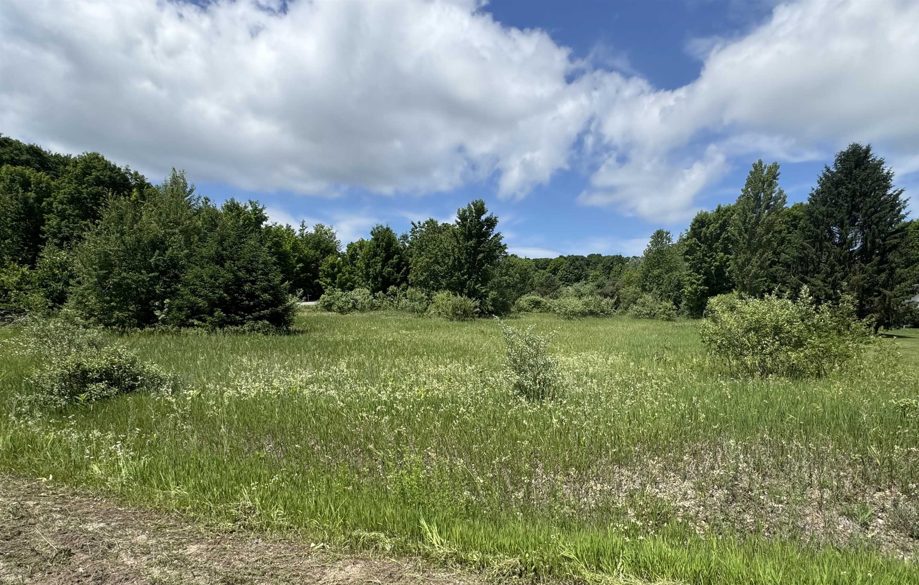 32 South Ski View Circle Cedar, MI 49621 - Photo 8 of 8