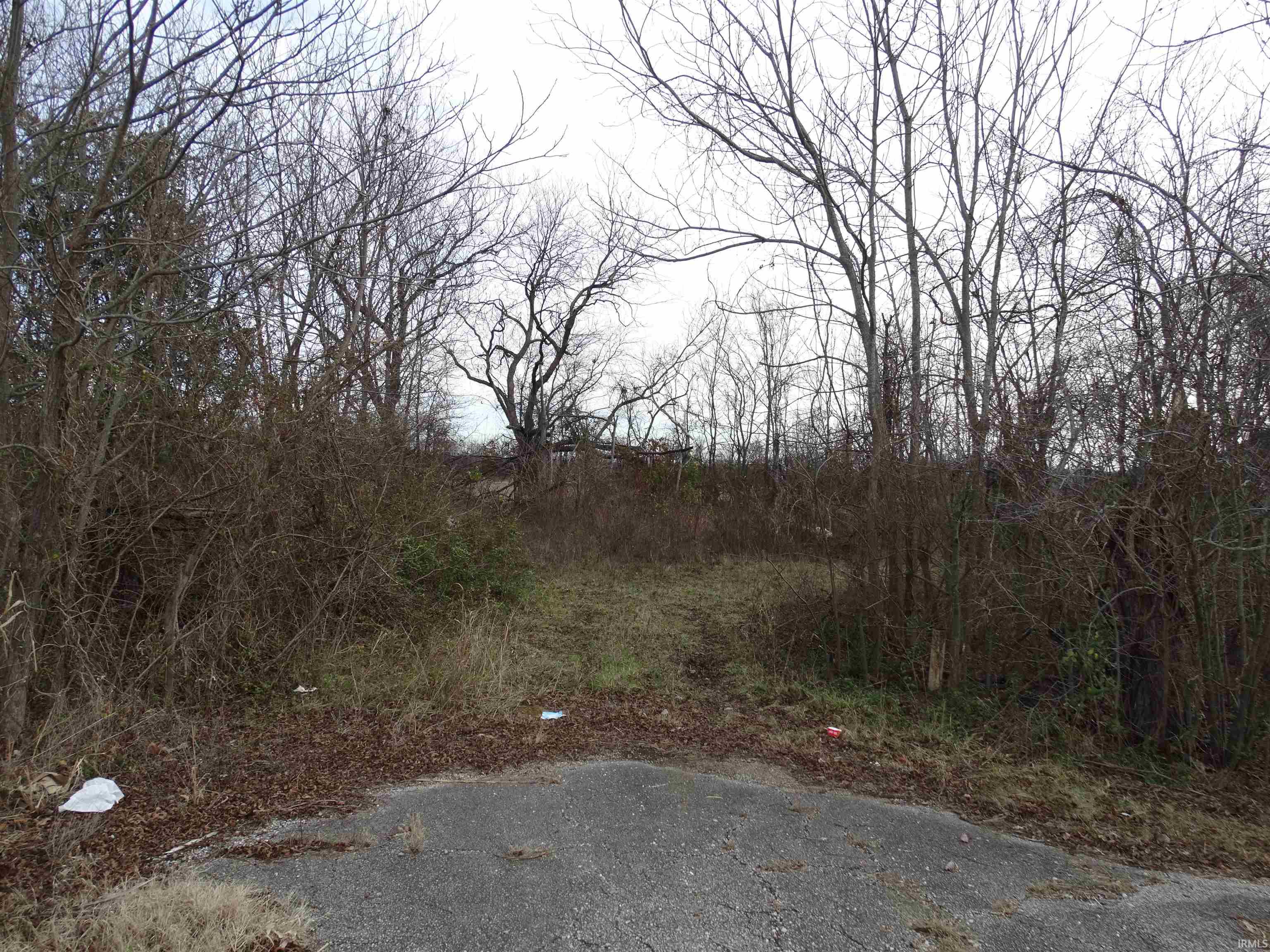 10800 Highway 69 Mount Vernon, IN 47620 - Photo 1 of 15