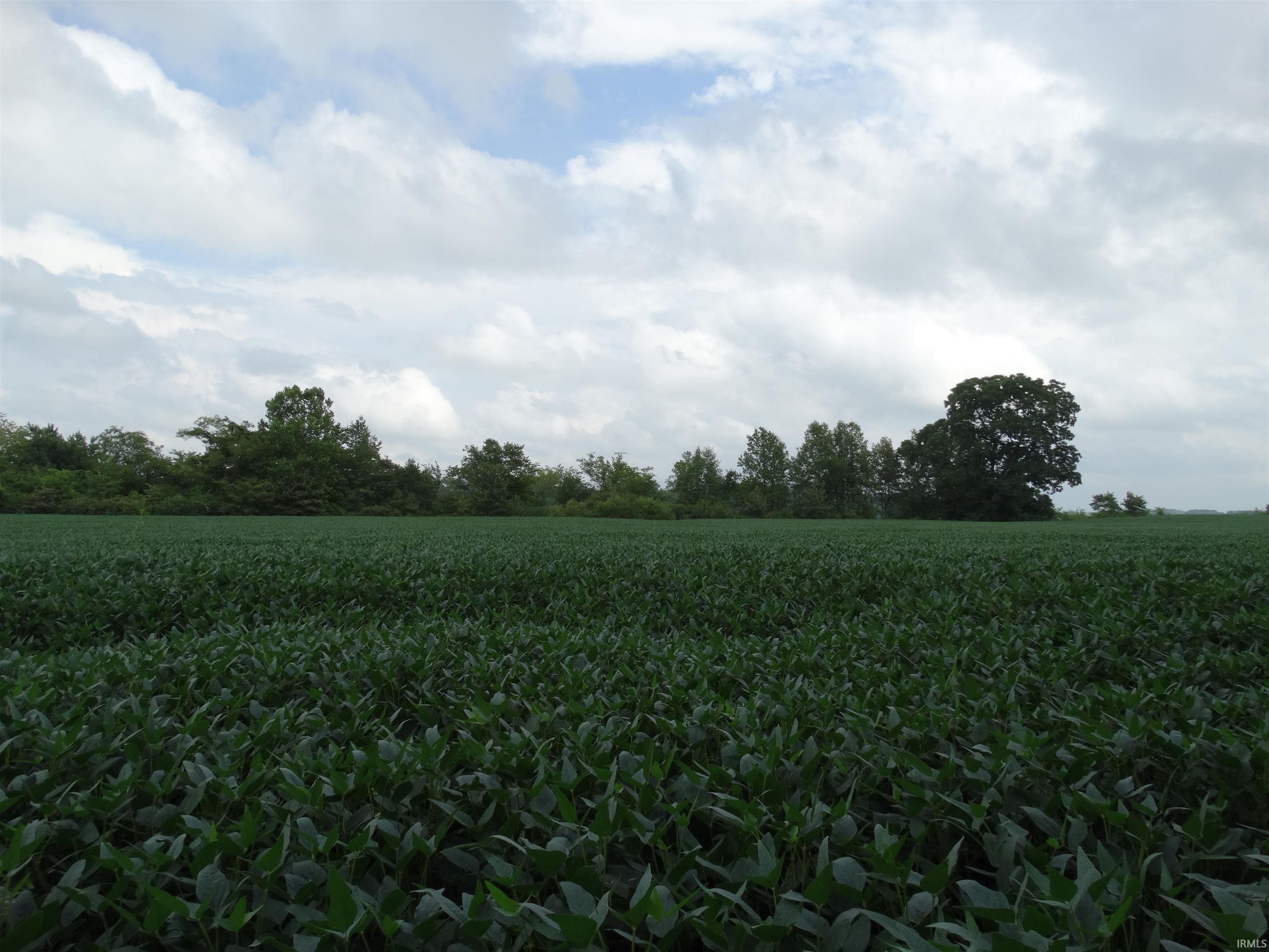 10800 Highway 69 Mount Vernon, IN 47620 - Photo 11 of 15