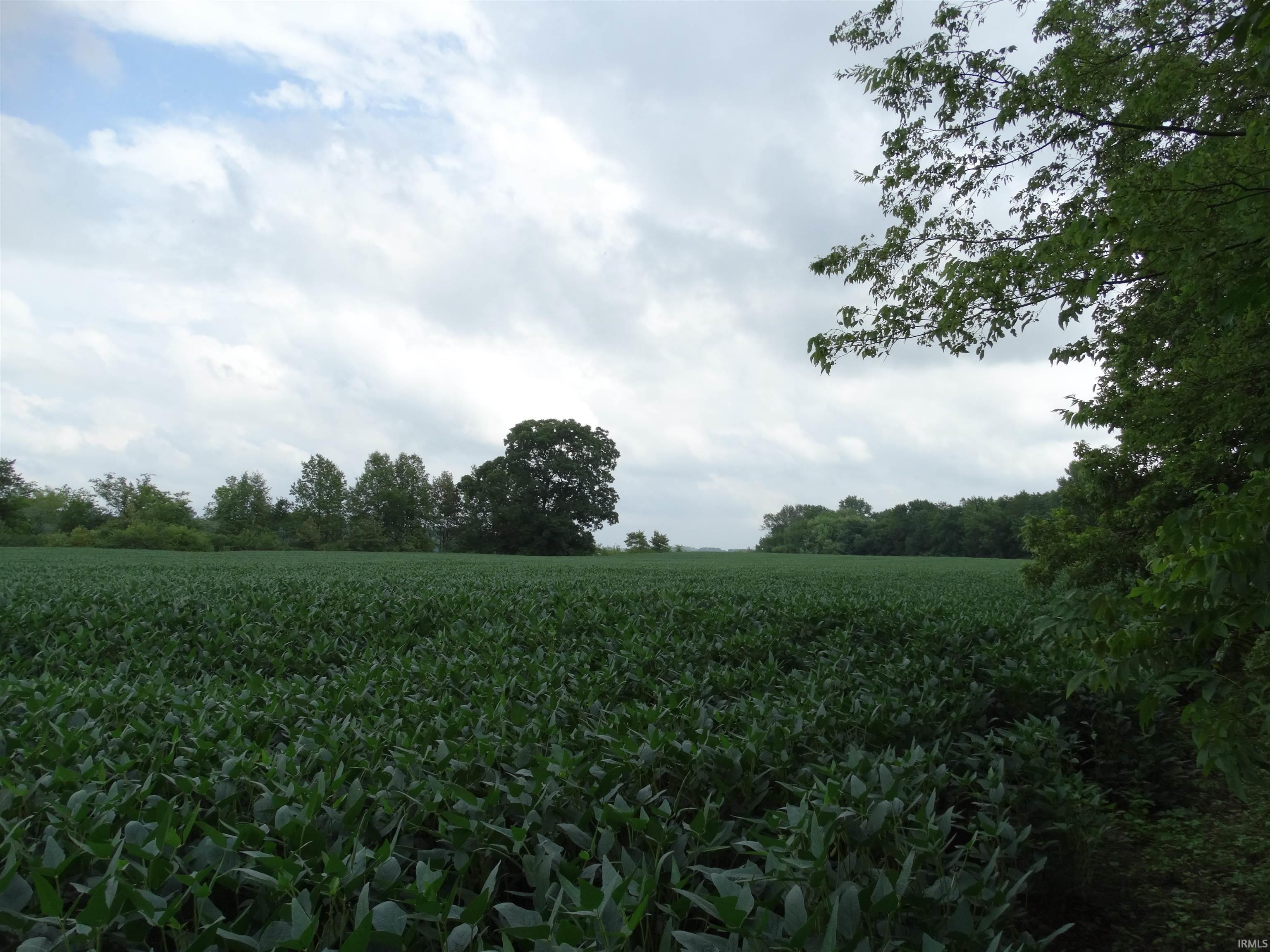 10800 Highway 69 Mount Vernon, IN 47620 - Photo 12 of 15