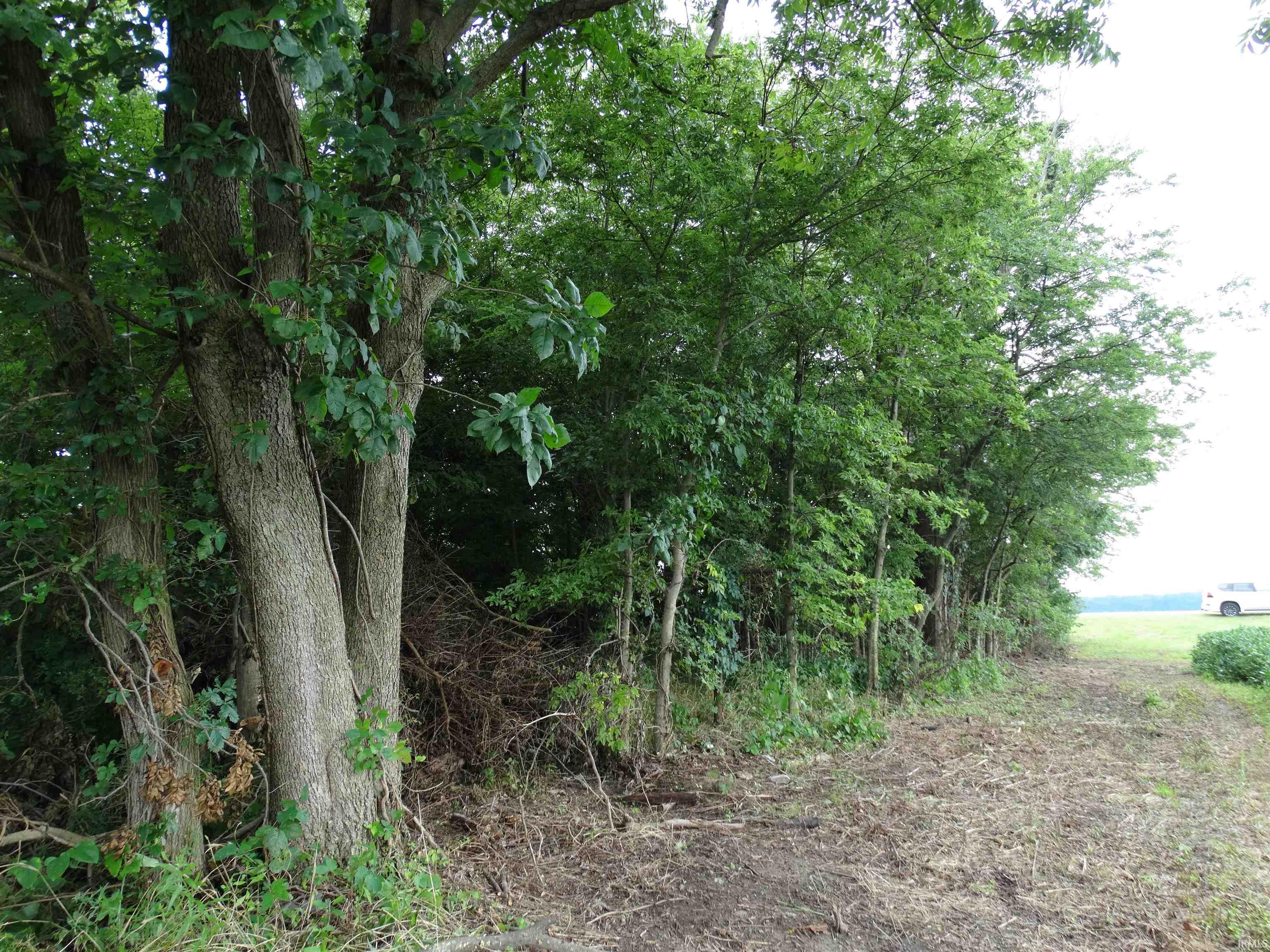 10800 Highway 69 Mount Vernon, IN 47620 - Photo 13 of 15