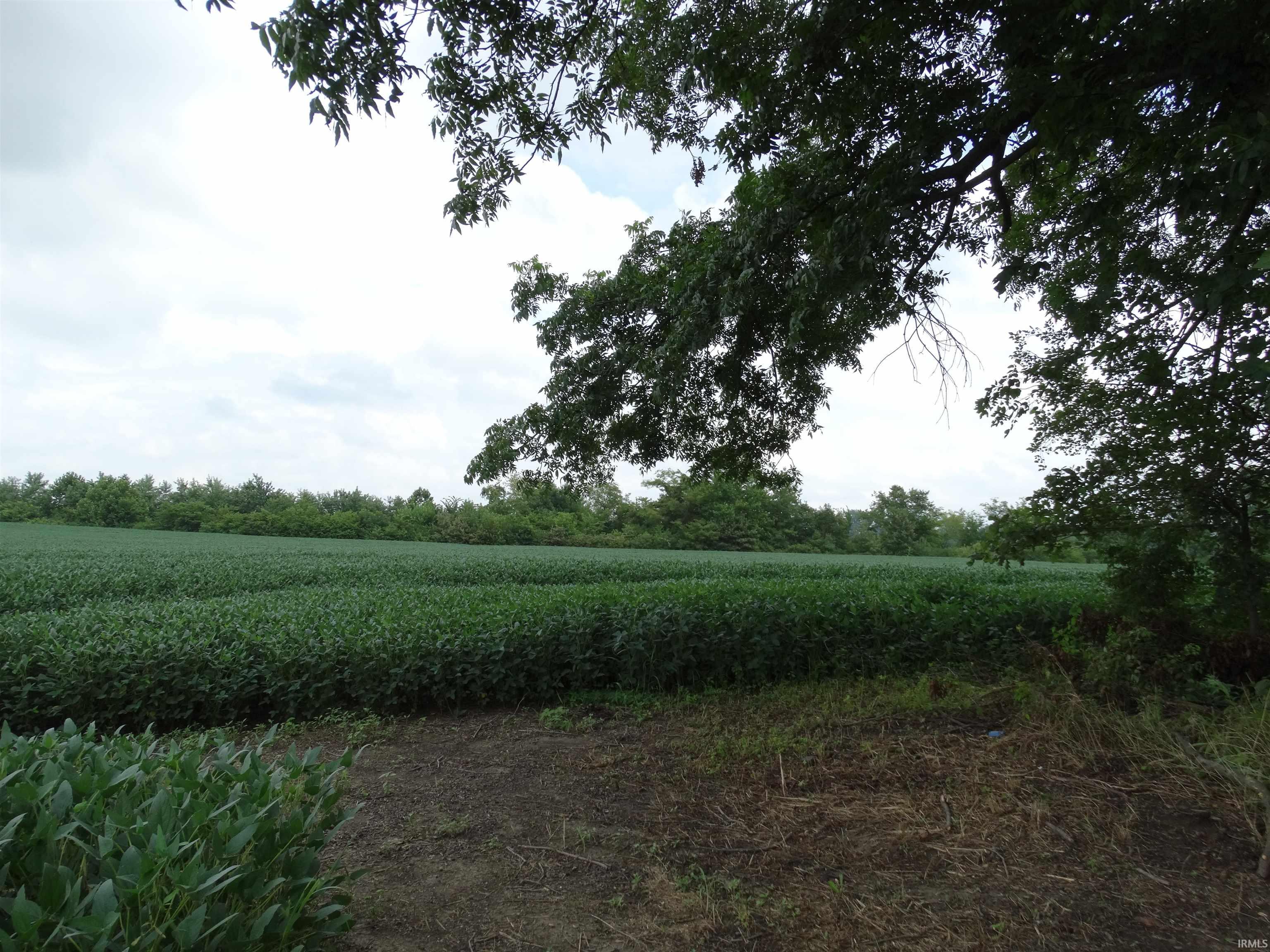 10800 Highway 69 Mount Vernon, IN 47620 - Photo 14 of 15