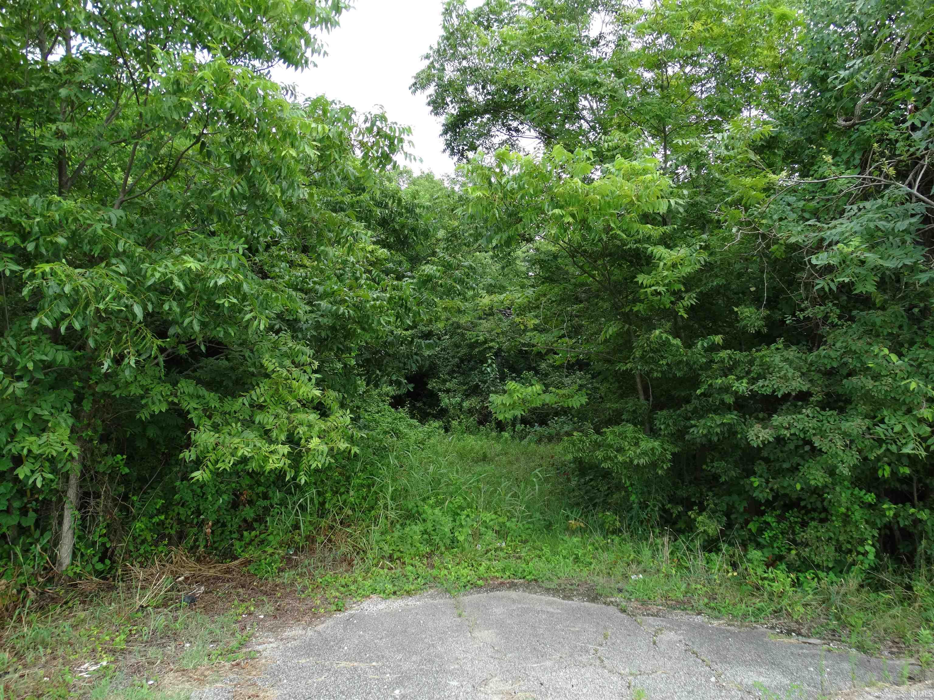 10800 Highway 69 Mount Vernon, IN 47620 - Photo 15 of 15