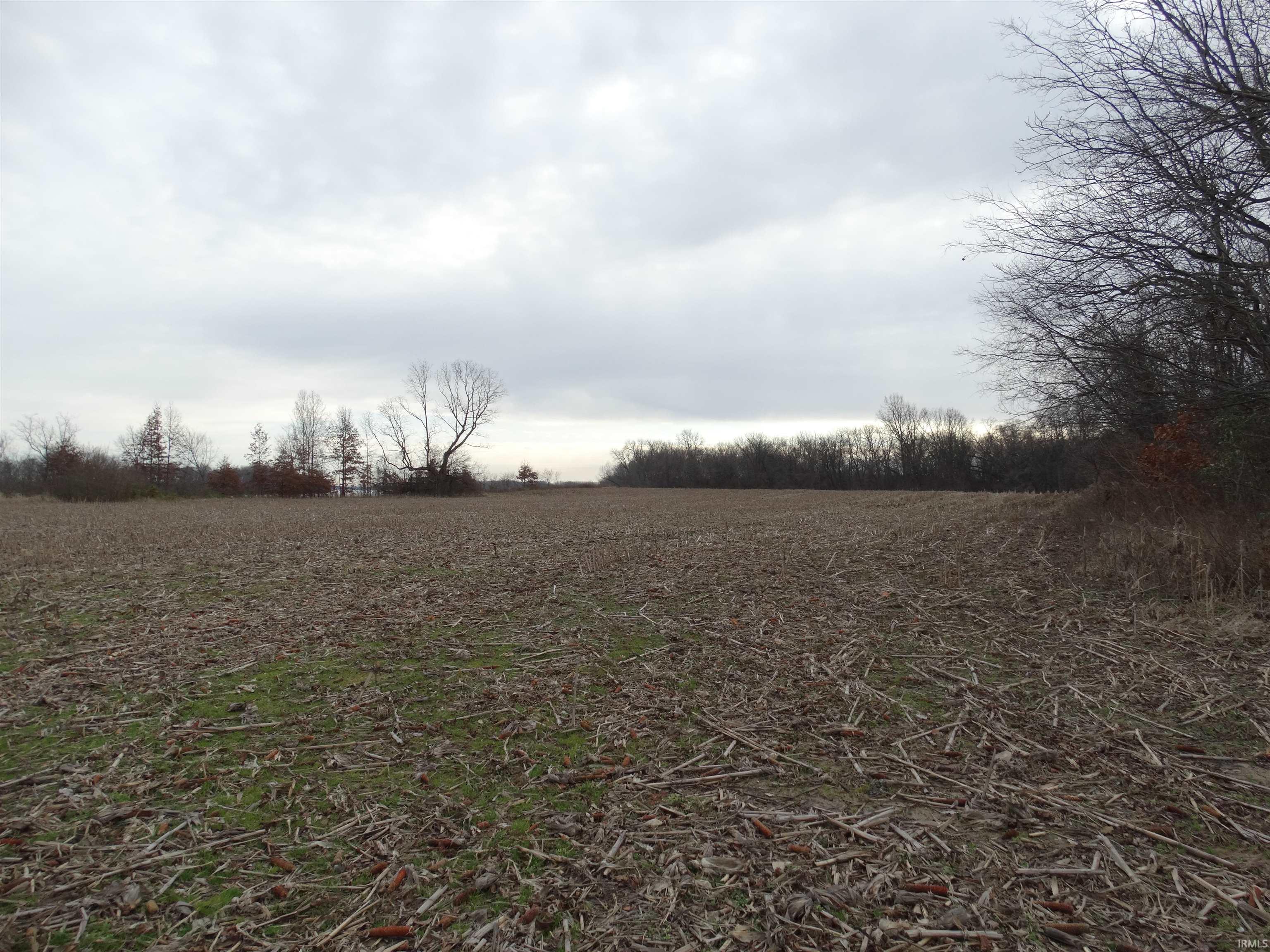 10800 Highway 69 Mount Vernon, IN 47620 - Photo 5 of 15