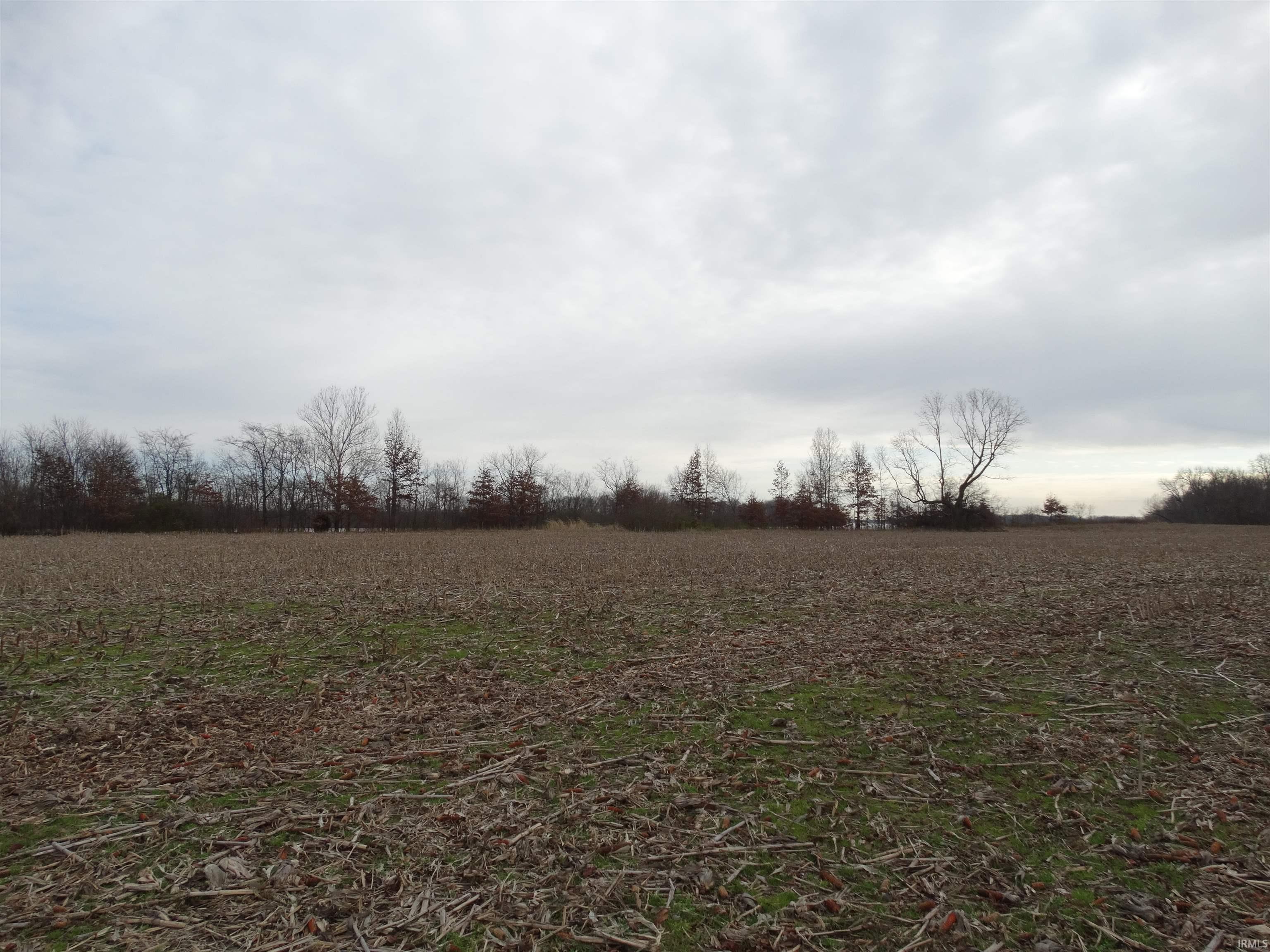 10800 Highway 69 Mount Vernon, IN 47620 - Photo 6 of 15