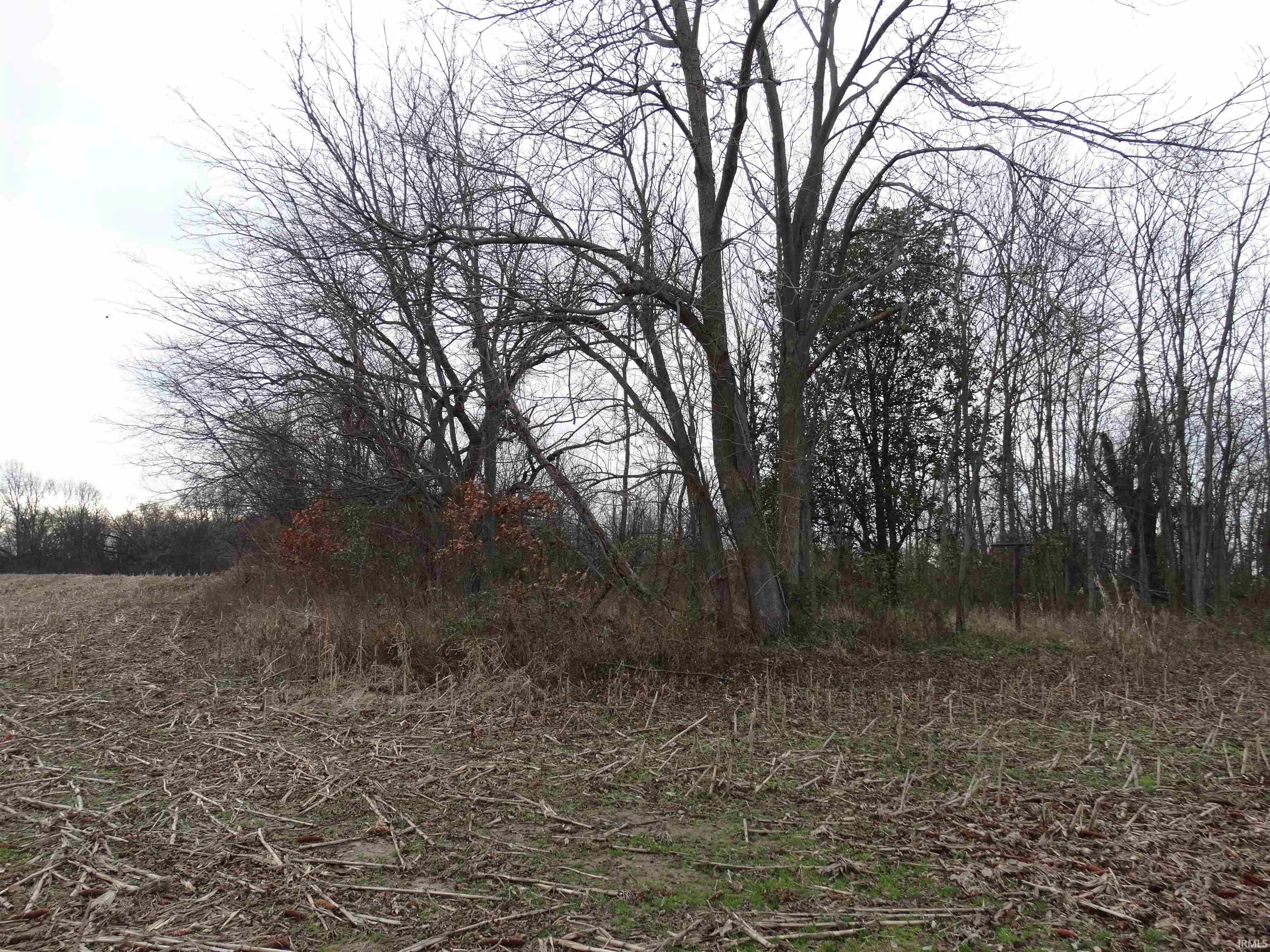 10800 Highway 69 Mount Vernon, IN 47620 - Photo 7 of 15