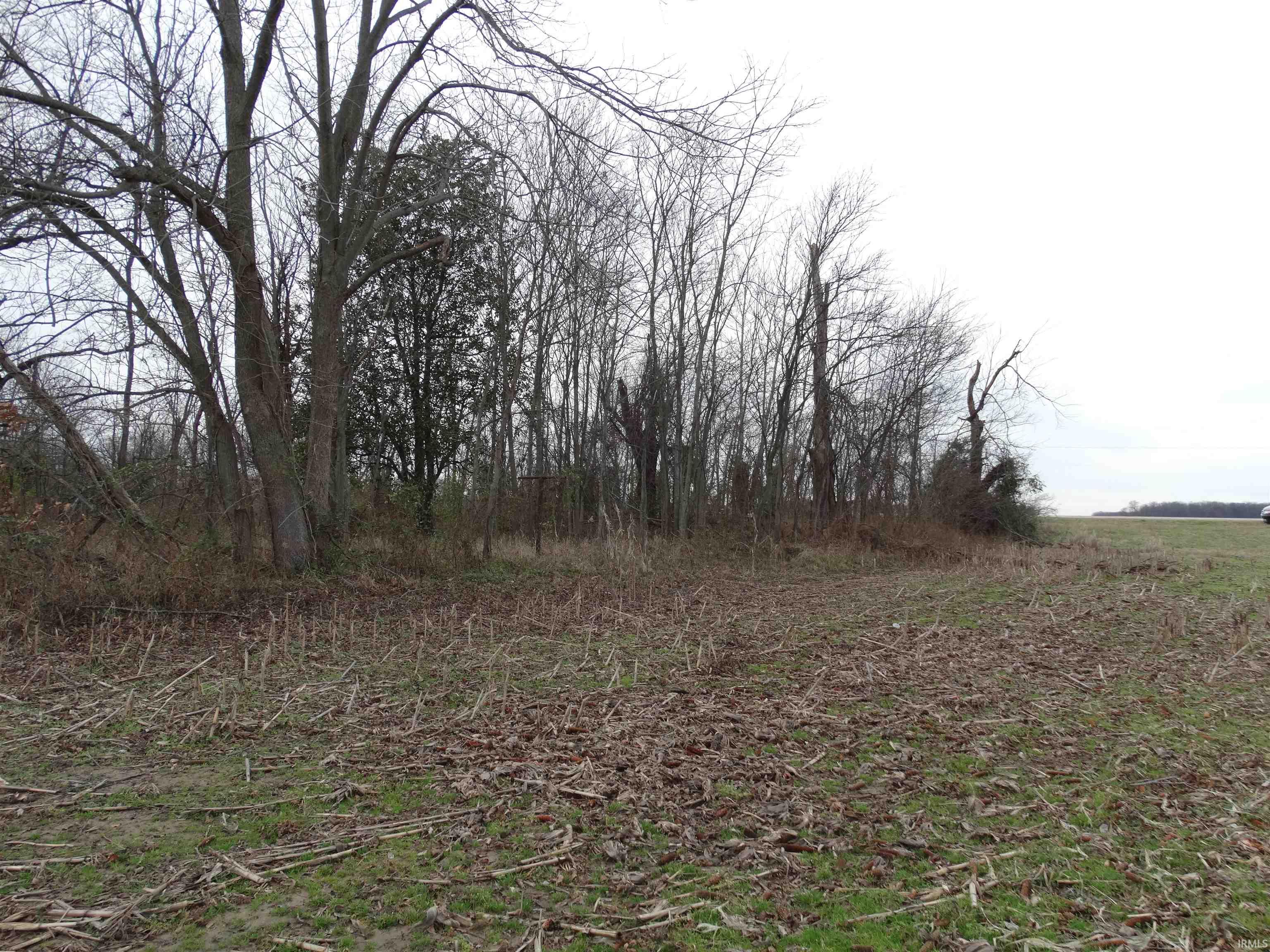 10800 Highway 69 Mount Vernon, IN 47620 - Photo 8 of 15