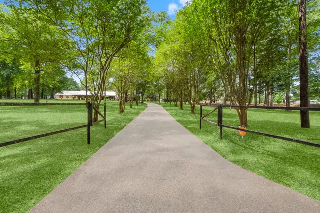a park with lots of green space and trees