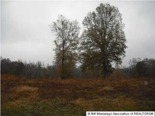 13 Barr Road Coldwater, MS 38618 - Photo 1 of 1 Primary Photo