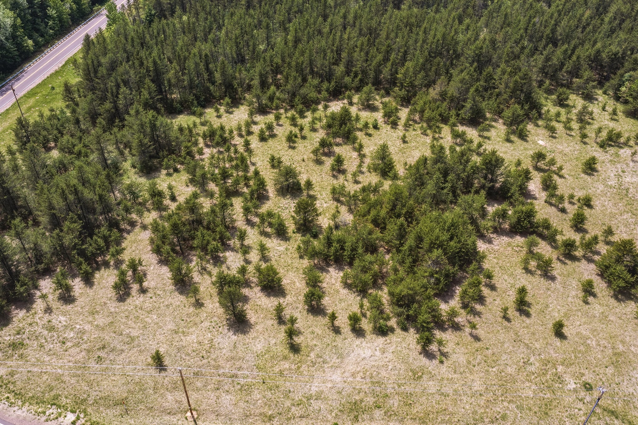 0 Lot 1 Augusta, WI 54722 - Photo 16 of 16