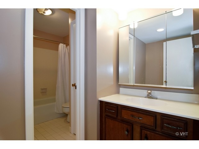 190 South Wood Dale Road, Unit 311 Wood Dale, IL 60191 - Photo 10 of 14