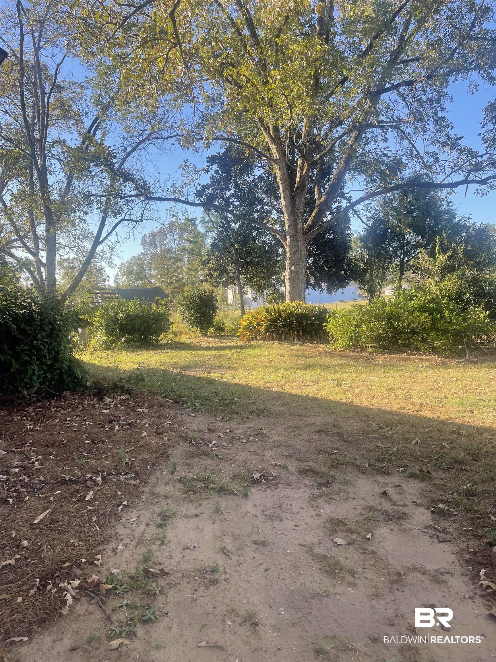926 Beulah Campground Road Repton, AL 36475 - Photo 24 of 30