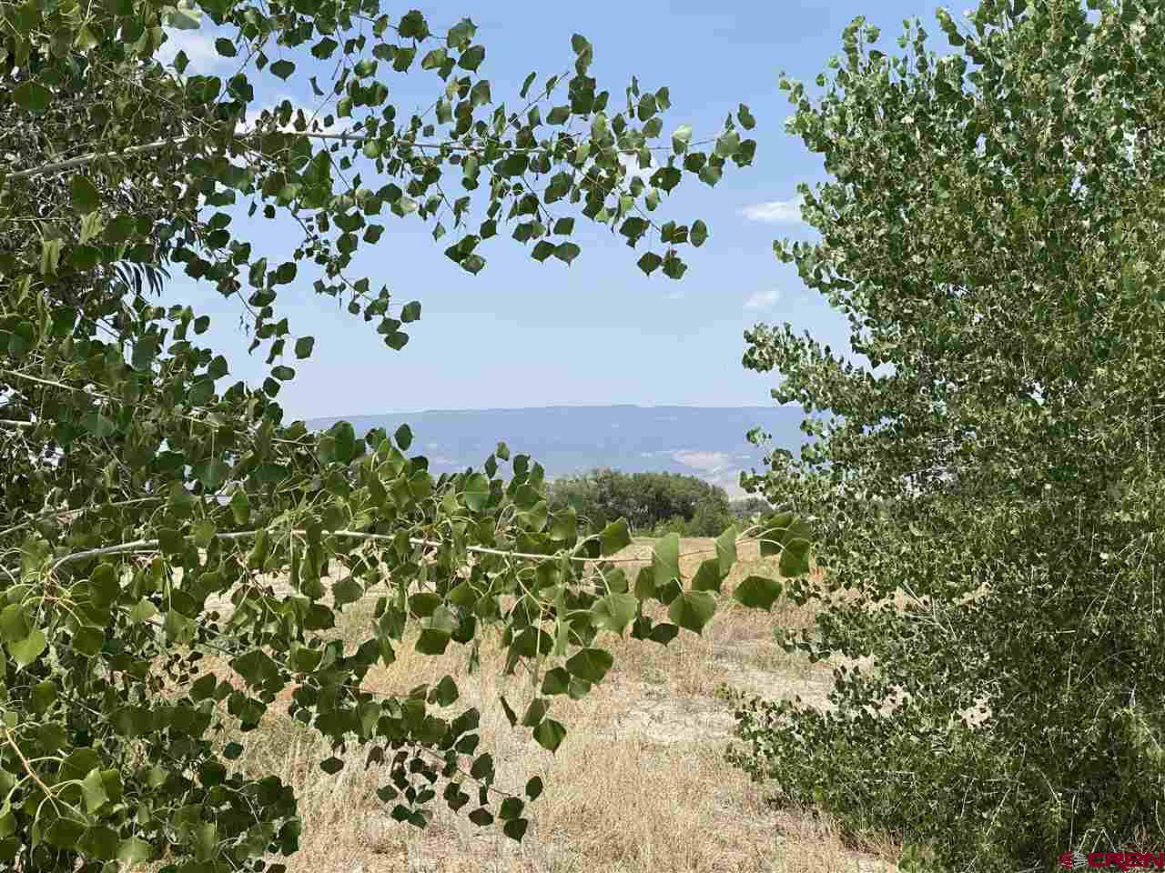 6120 Stirrup Creek Road Delta, CO 81416 - Photo 3 of 16 unknown