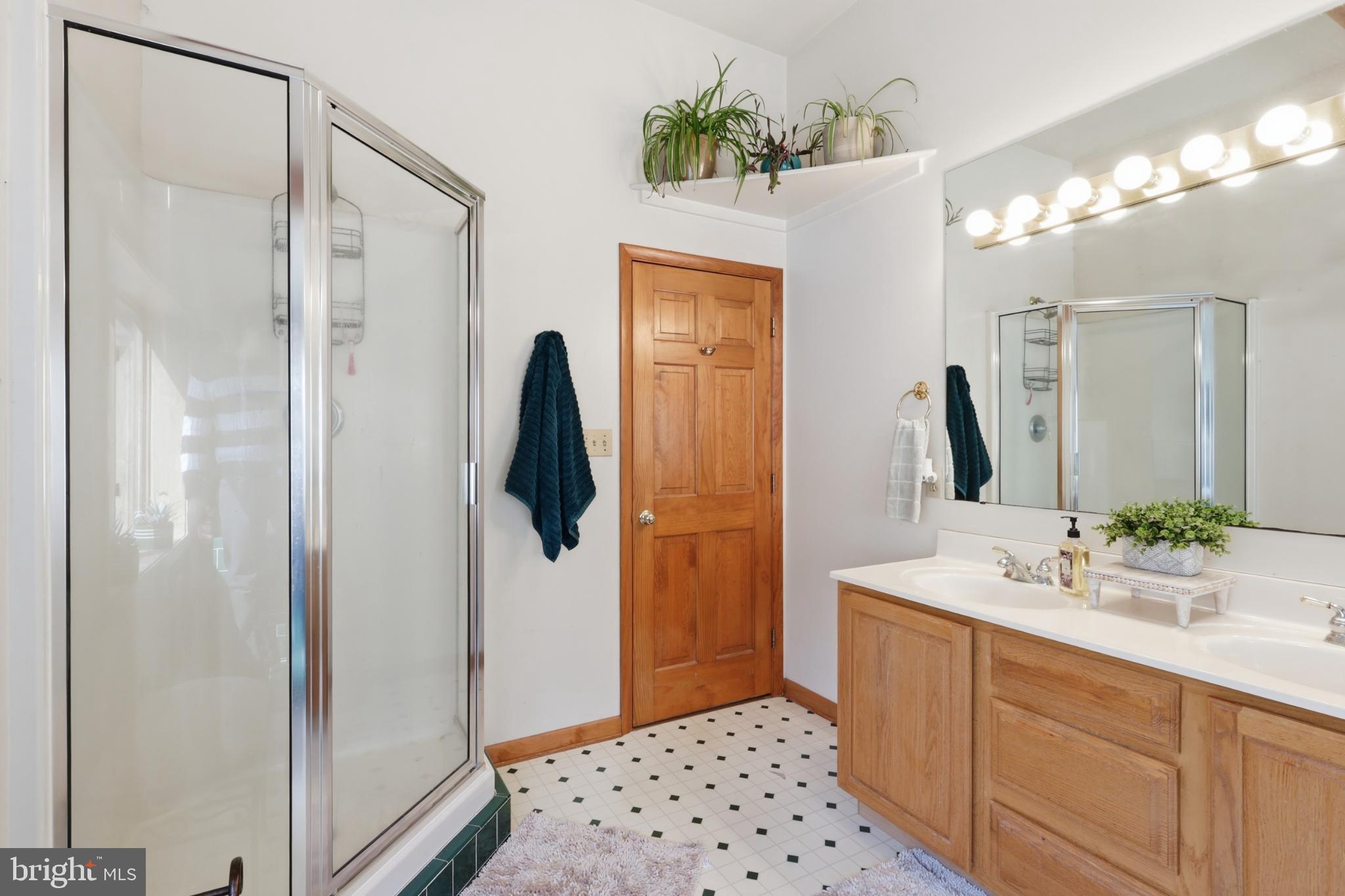 8939 Hawbottom Road Middletown, MD 21769 - Photo 32 of 92 a bathroom with a sink a light fixture a vanity and a mirror