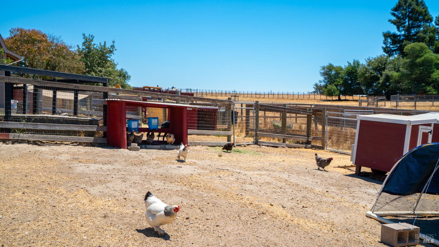 4175 Woodworth Road Sebastopol, CA 95472 - Photo 49 of 53