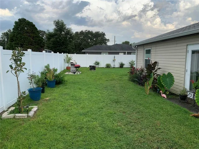 a view of a backyard with plants and a large tree