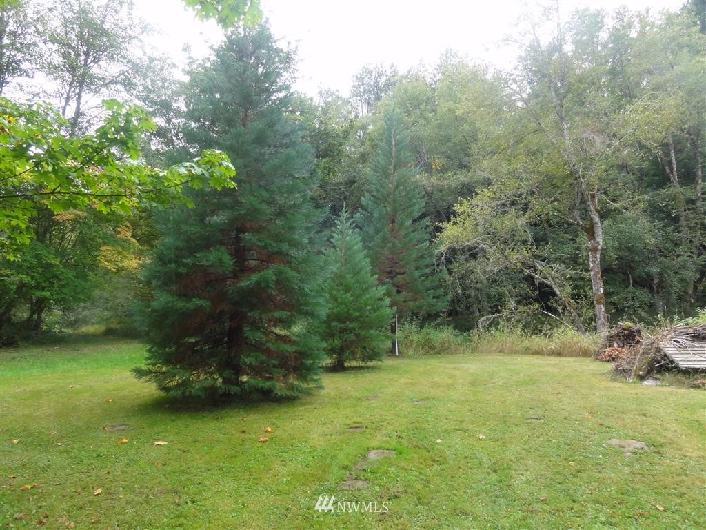 149 Cedar Grove Road Randle, WA 98377 - Photo 19 of 25 Gallery Image 19