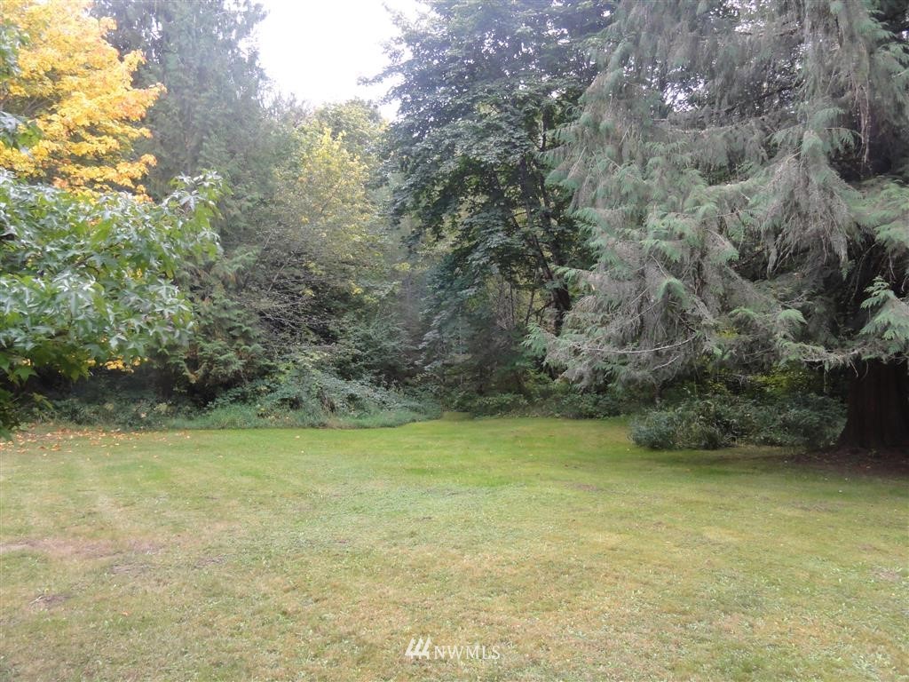 149 Cedar Grove Road Randle, WA 98377 - Photo 20 of 25 Gallery Image 20