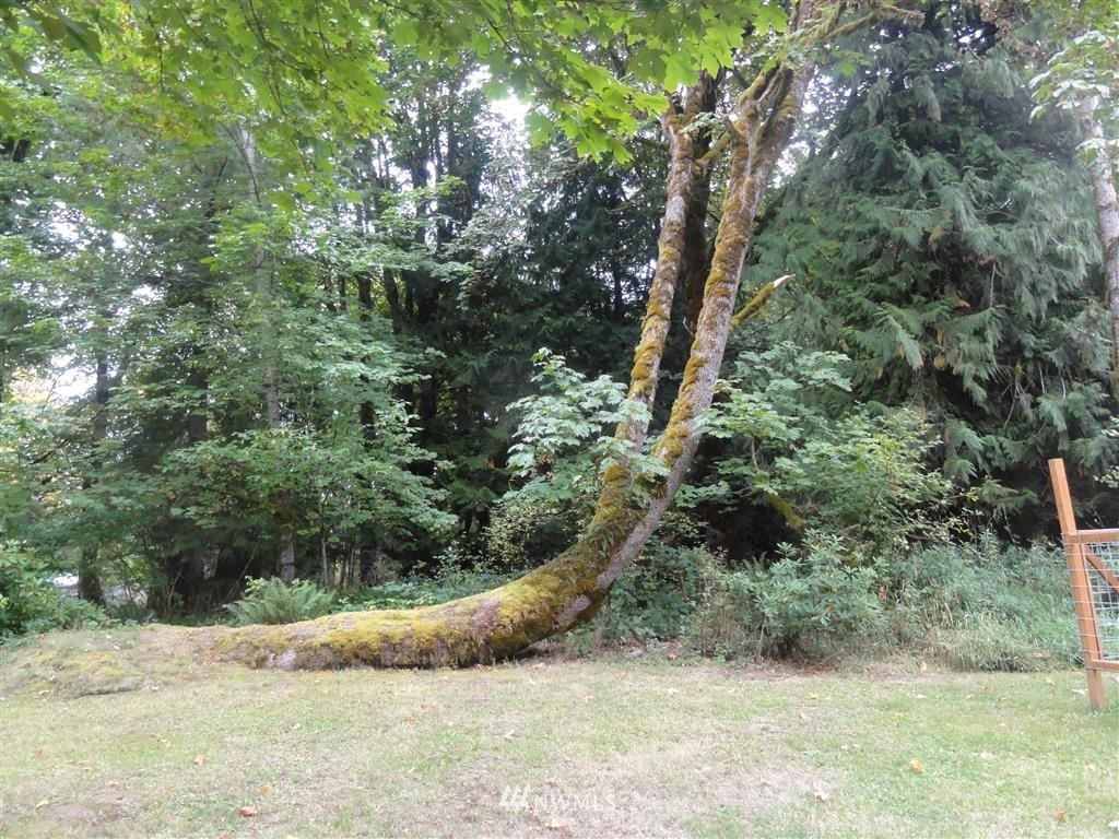 149 Cedar Grove Road Randle, WA 98377 - Photo 21 of 25 Gallery Image 21
