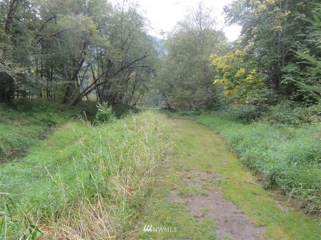 149 Cedar Grove Road Randle, WA 98377 - Photo 23 of 25 Gallery Image 23