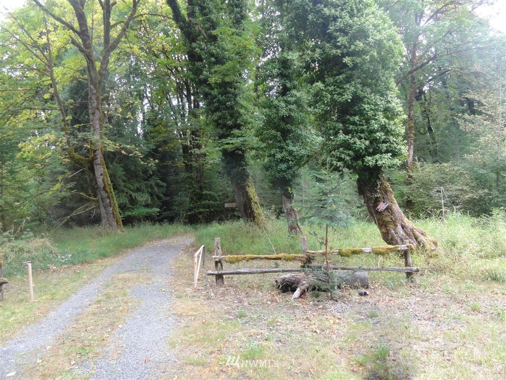 149 Cedar Grove Road Randle, WA 98377 - Photo 25 of 25 Gallery Image 25