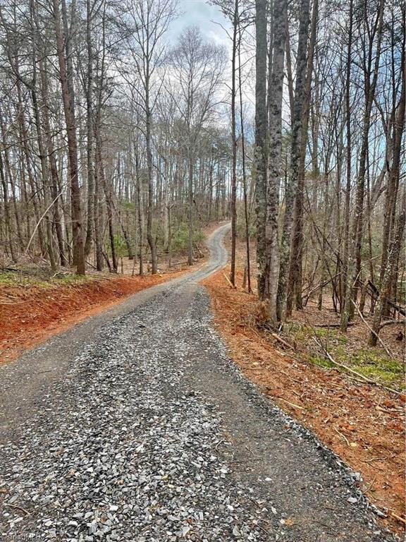 Tbd Pat Irwin Road Pilot Mountain, NC 27041 - Photo 1 of 10 Gallery Image 1
