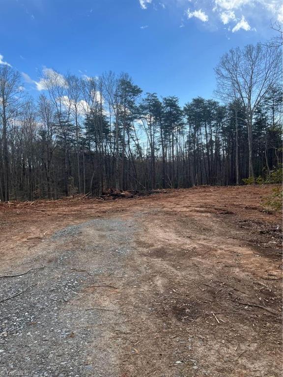 Tbd Pat Irwin Road Pilot Mountain, NC 27041 - Photo 2 of 10 Gallery Image 2