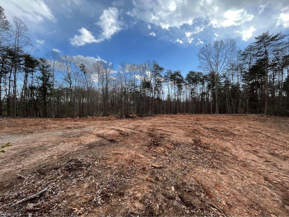 Tbd Pat Irwin Road Pilot Mountain, NC 27041 - Photo 3 of 10 Gallery Image 3