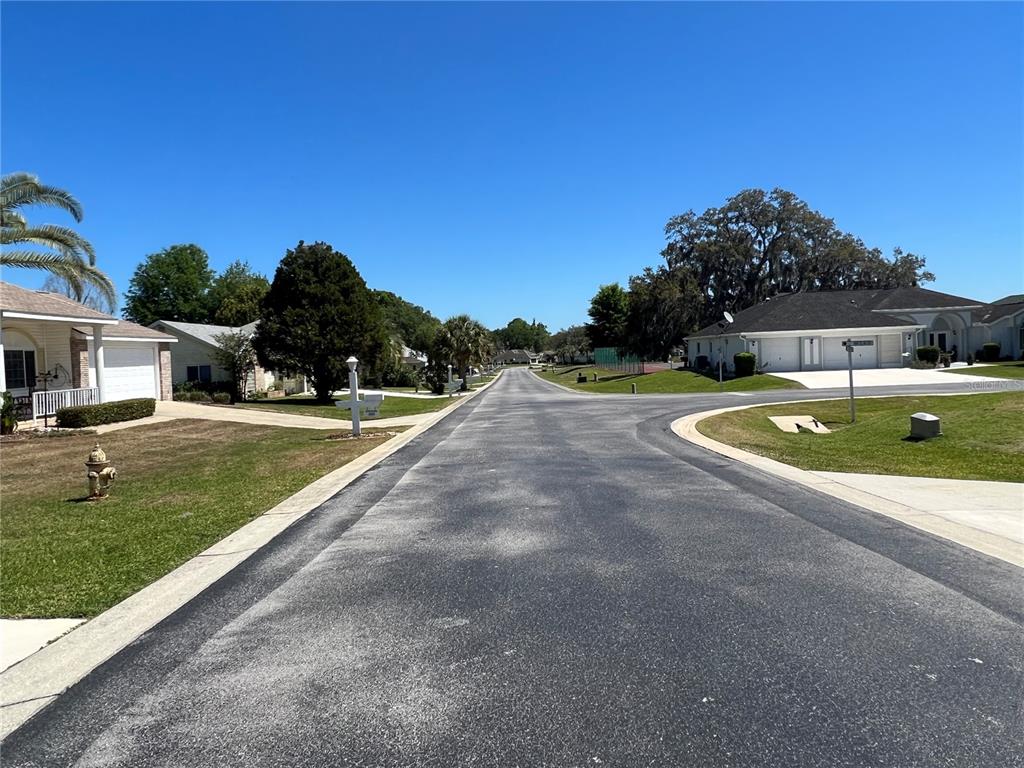 5333 Northwest 25th Loop Ocala, FL 34482 - Photo 20 of 20 a view of a swimming pool with a yard