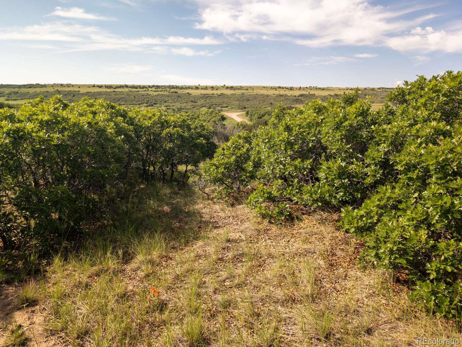 0 Pasteur Boulevard Rye, CO 81069 - Photo 7 of 9 a view of lake