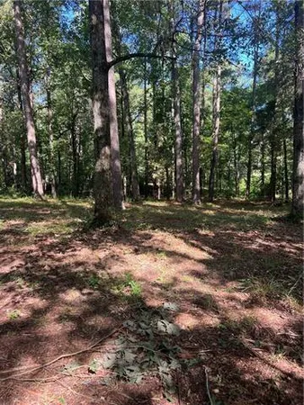 $16,000 | 1009 Nantachie Drive, Montgomery, LA 71454