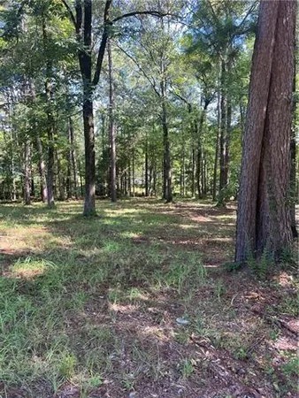 $16,000 | 1009 Nantachie Drive, Montgomery, LA 71454